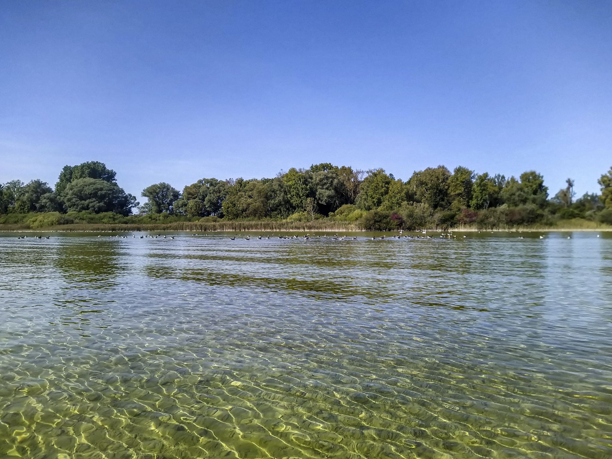 Kajaktour Ammersee Stegen 25.09.2021